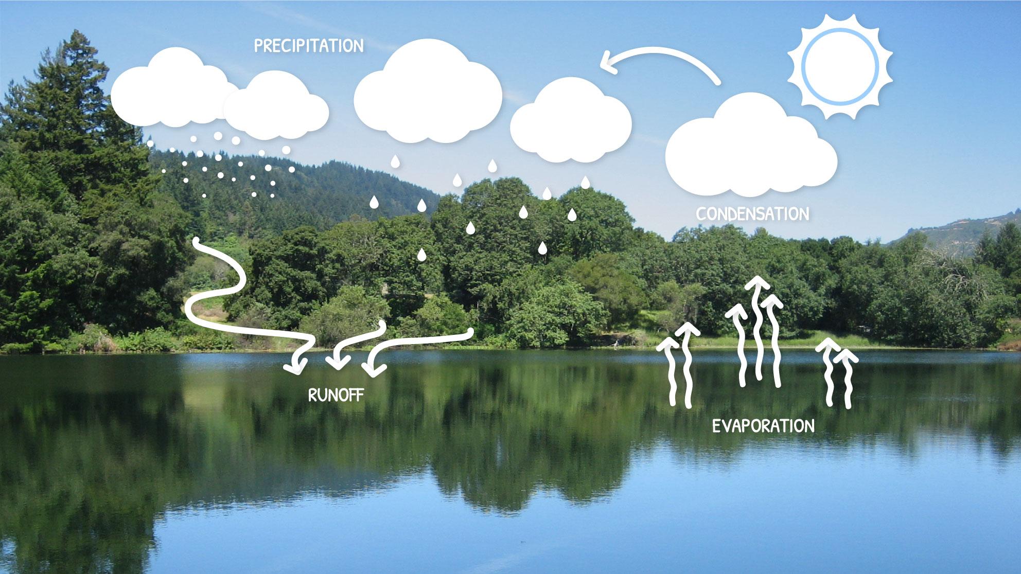 Illustration of the Water Cycle