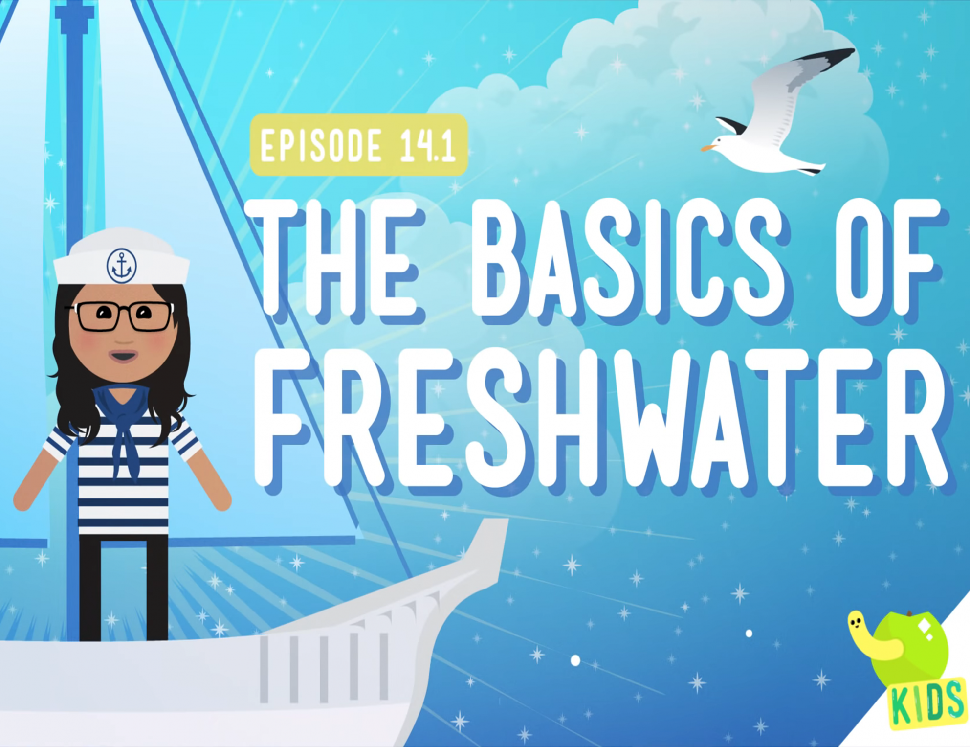 The basics of freshwater video cover