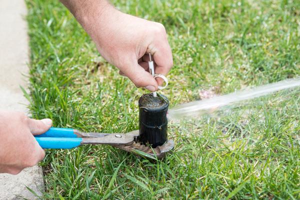 Closeup of someone using pliers to check a water sprinkler in the grass
